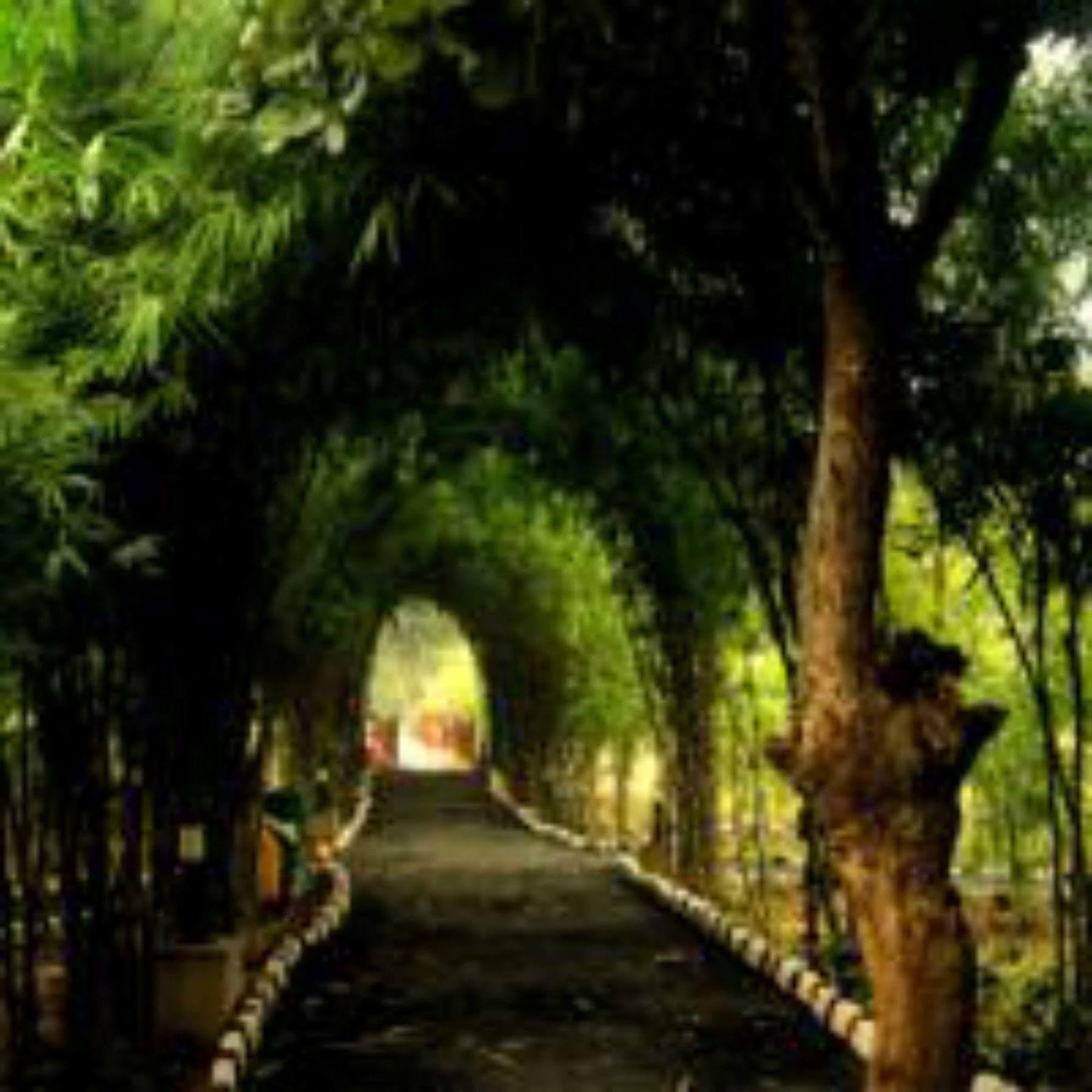 Lemon Tree Wildlife Resort, Bandhavgarh Tāla Exteriér fotografie